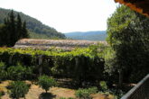 Seltene Gelegenheit - Etabliertes und majestätisches Weingut auf Mallorca ! - ML719806_Weingut_Mallorca_Marcus Trapp Immobilien_20